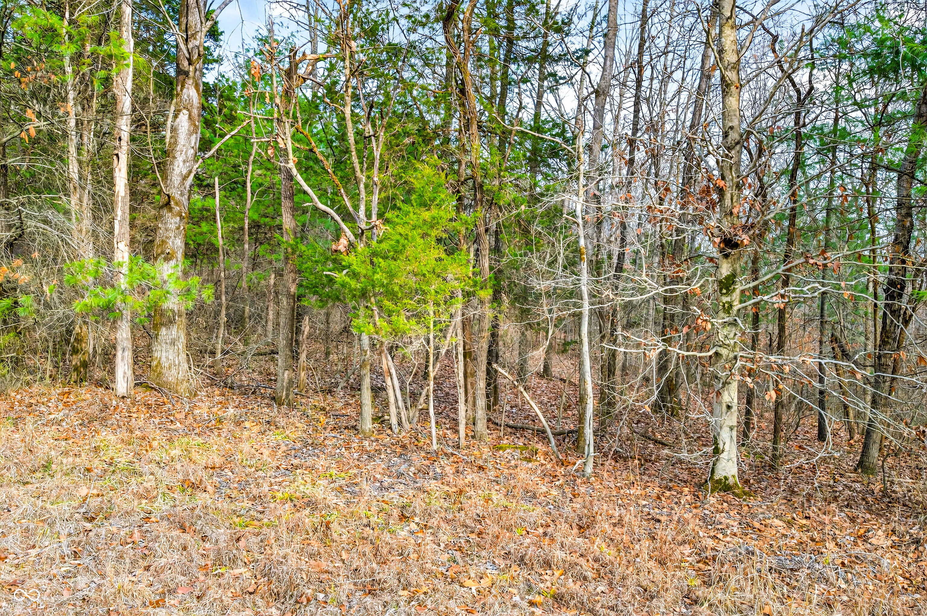 0 Garrity Road Freetown, IN 47274 - Photo 25 of 26