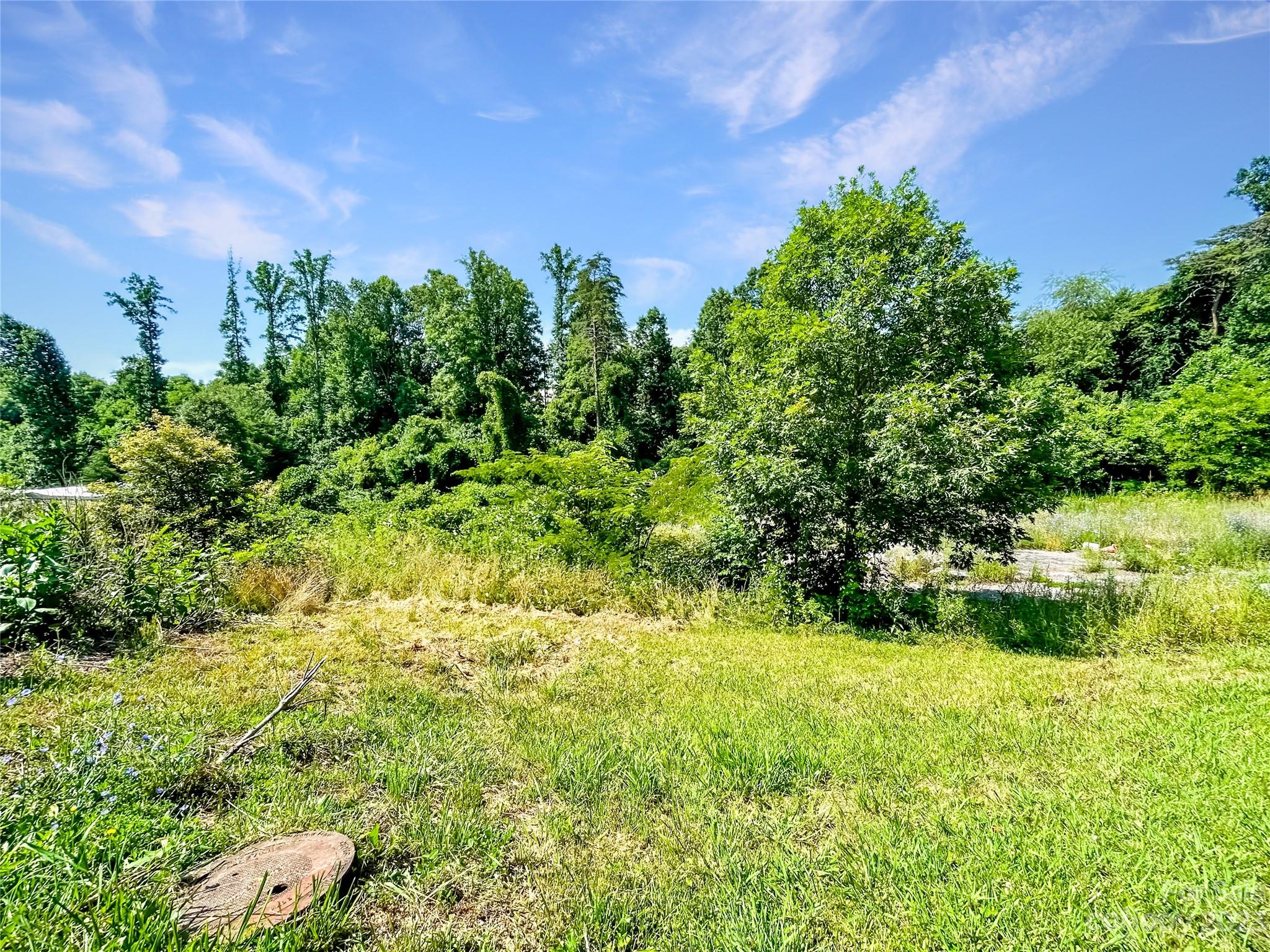 274 Brickyard Road Asheville, NC 28806 - Photo 2 of 8 Gallery Image 2