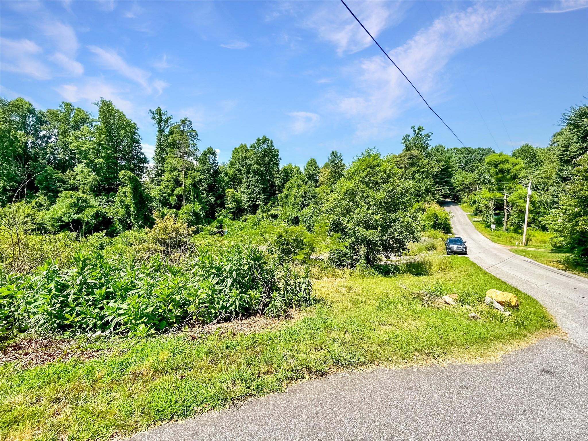 274 Brickyard Road Asheville, NC 28806 - Photo 6 of 8 Gallery Image 6