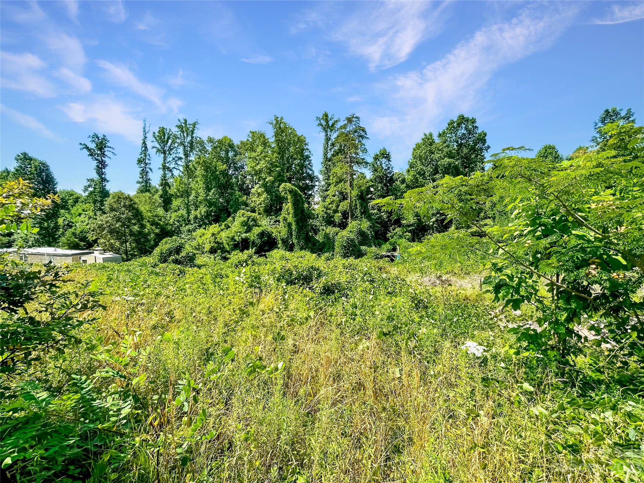 274 Brickyard Road Asheville, NC 28806 - Photo 7 of 8 Gallery Image 7