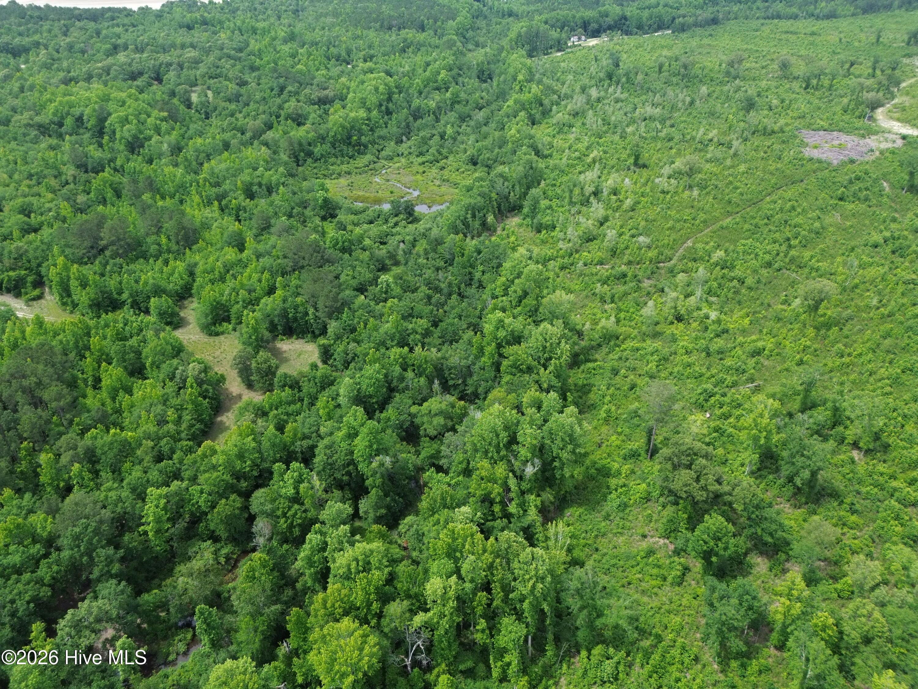 0 Pughsley Road Stapleton, GA 30823 - Photo 10 of 10 RTPH2864