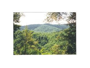 1210 May's Rdg Road, Unit 22 Butler, TN 37640 - Photo 9 of 9 Photo 9