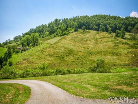 378 Yates Cove Road Waynesville, NC 28785 - Photo 15 of 17 a view of a big yard with large trees