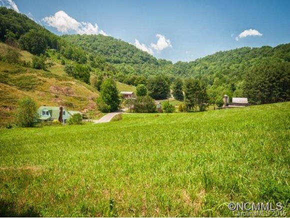378 Yates Cove Road Waynesville, NC 28785 - Photo 17 of 17 a view of a big yard with swimming pool and green space