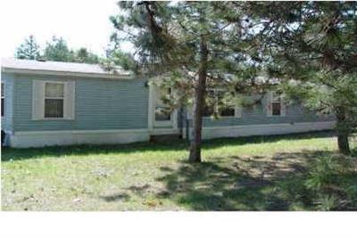 1144 Vining Road Greenville, MI 48838 - Photo 1 of 15 Primary Photo