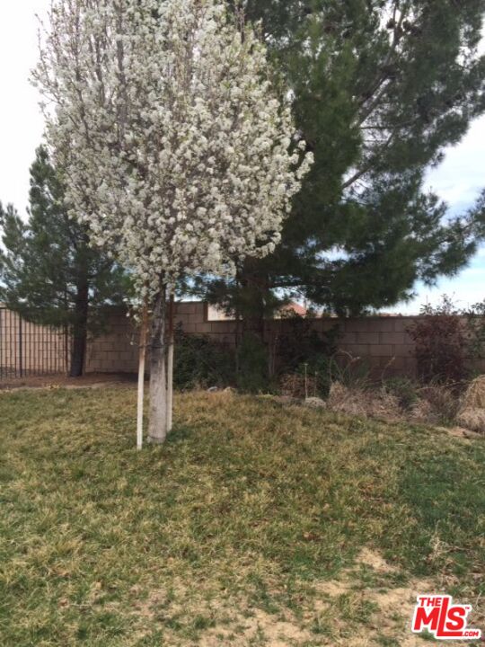 43029 59th Street West Lancaster, CA 93536 - Photo 21 of 23