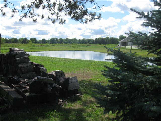 Rear Yard