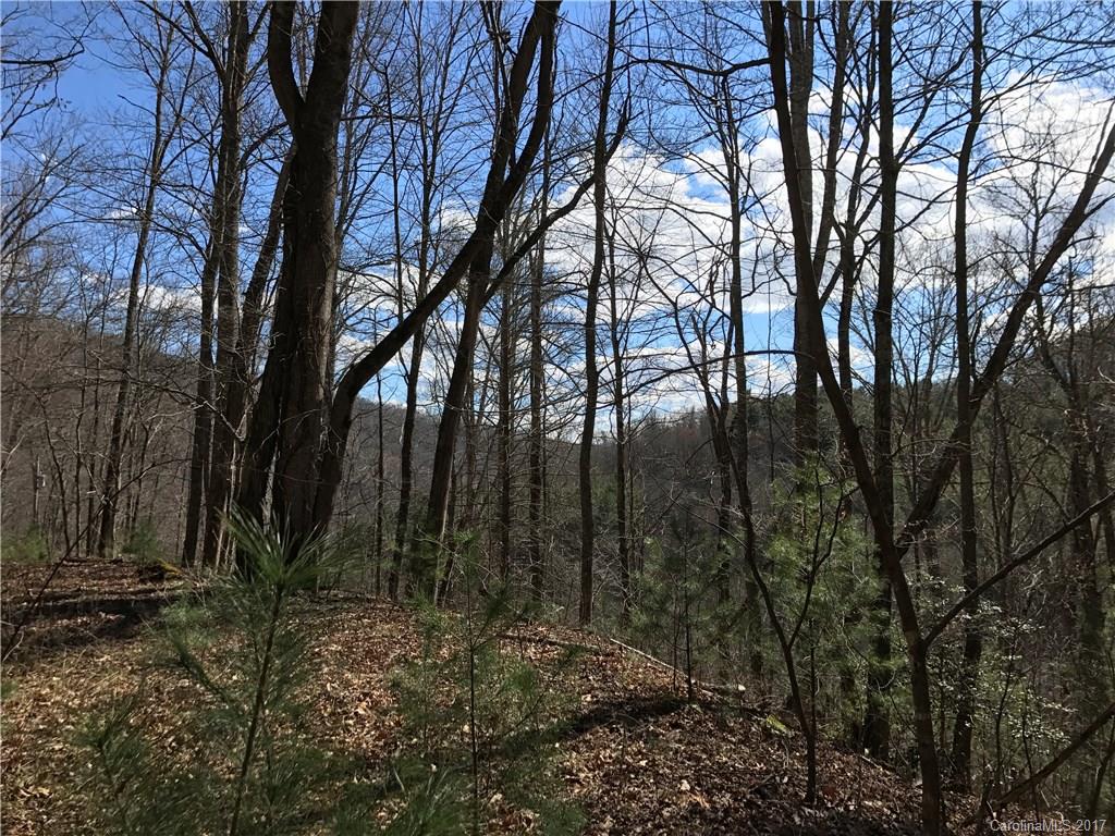 2393 Blanton Branch Road Sylva, NC 28779 - Photo 1 of 8 Gallery Image 1