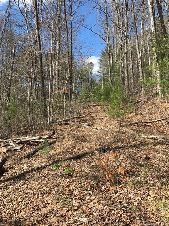 2393 Blanton Branch Road Sylva, NC 28779 - Photo 6 of 8 Gallery Image 6