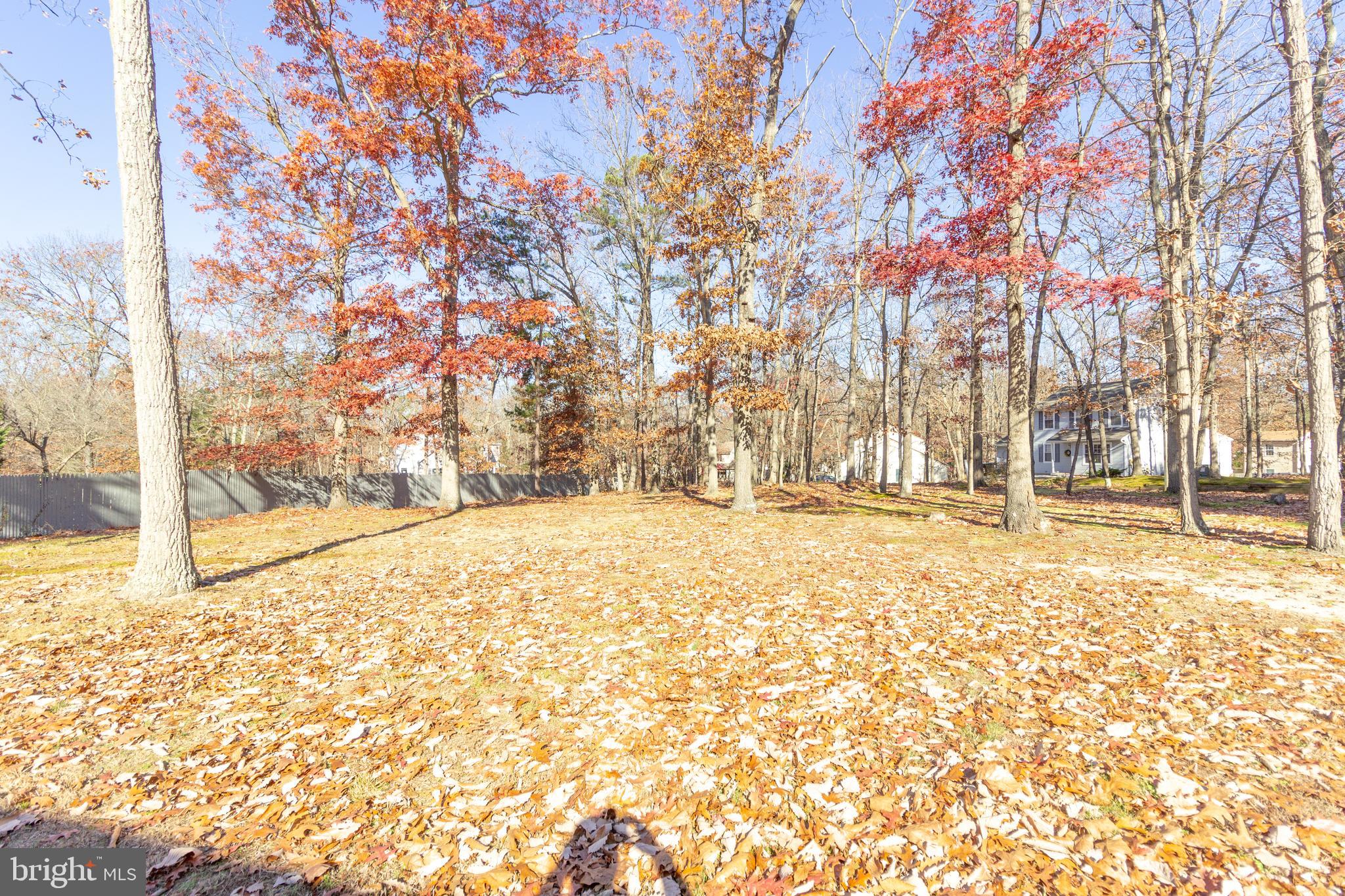 101 Blue Anchor Road Sicklerville, NJ 08081 - Photo 3 of 28 backyard