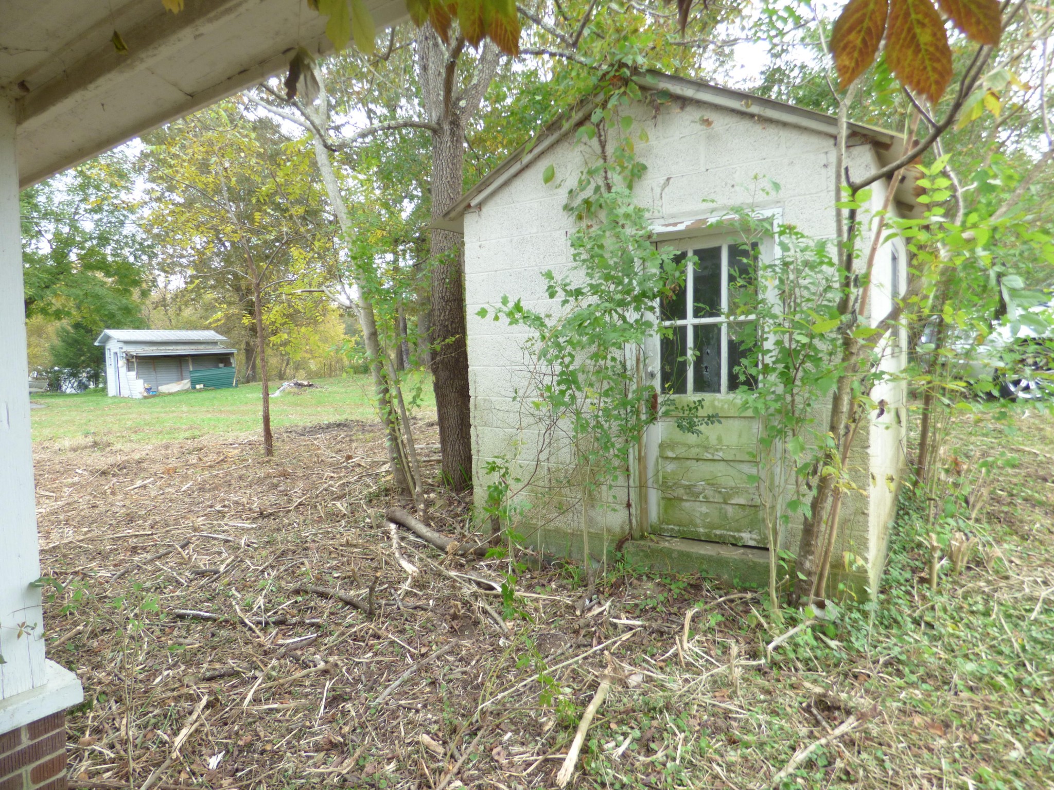 115 Ray Cross Road Harriman, TN 37748 - Photo 6 of 10 Gallery Image 6