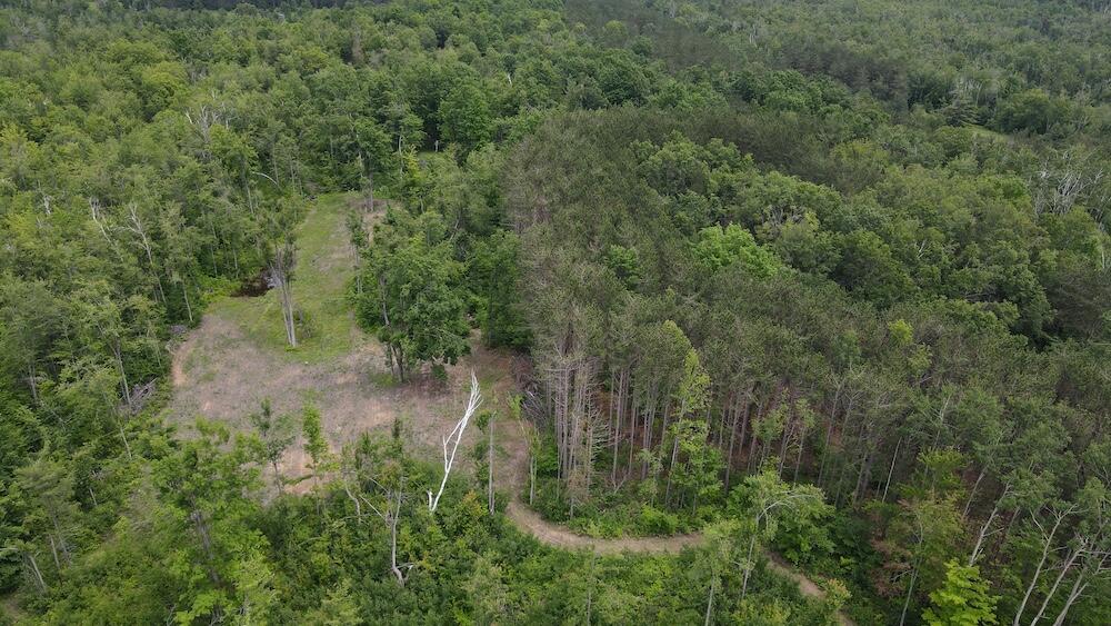 1692 North Galbraith Road Mio, MI 48647 - Photo 21 of 82 12(1)