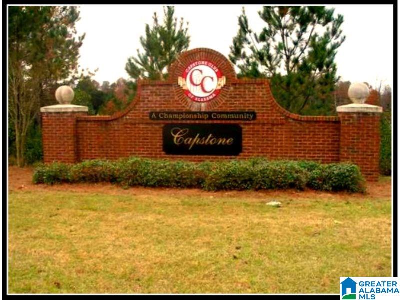 11440 Crimson Ridge Road, Unit 86 Brookwood, AL 35444 - Photo 1 of 1