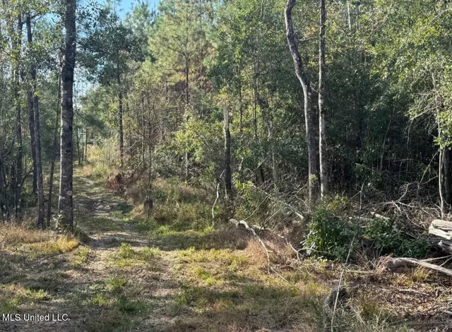 $109,728 | J Bailey Road, Wiggins, MS 39577