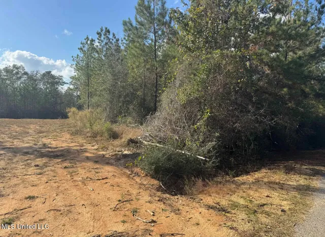 $109,728 | J Bailey Road, Wiggins, MS 39577