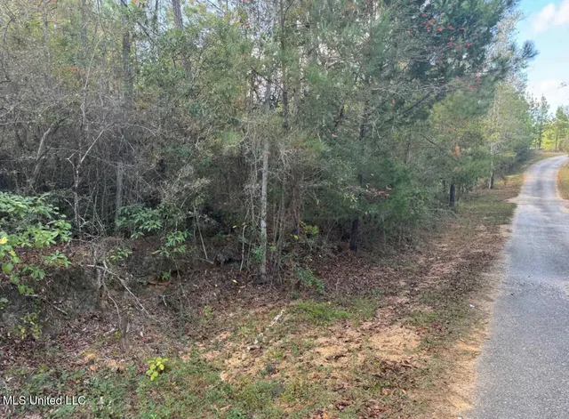 $109,728 | J Bailey Road, Wiggins, MS 39577