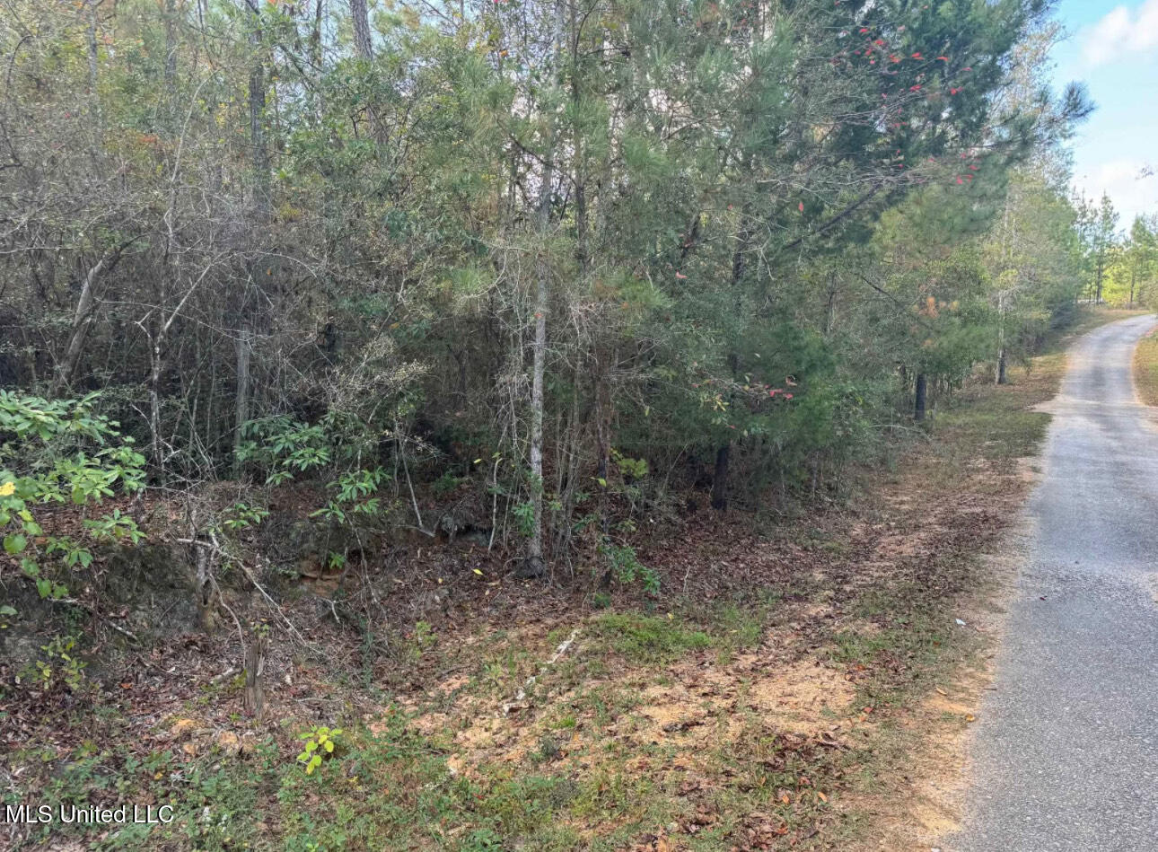 J Bailey Road Wiggins, MS 39577 - Photo 6 of 7 IMG_8057