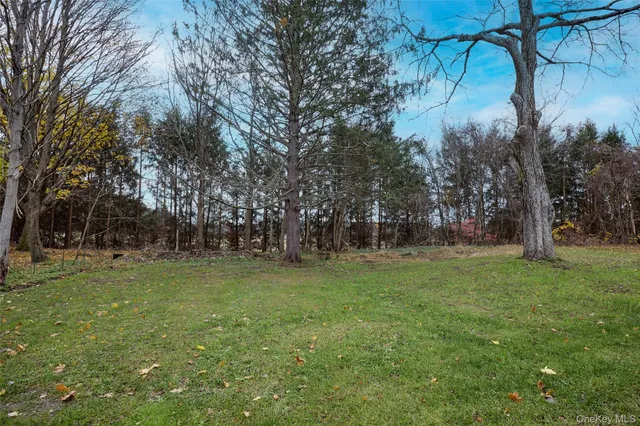 a view of a field with trees
