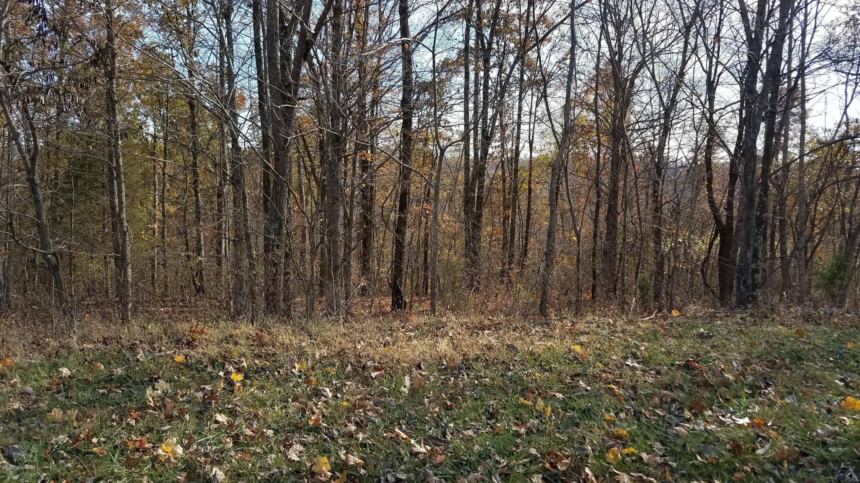 1 Greer Road Payneville, KY 40157 - Photo 2 of 2 Greer Rd pic 2