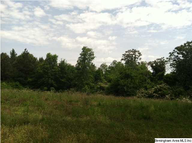 138 County Road, Unit 11 Jemison, AL 35085 - Photo 3 of 3