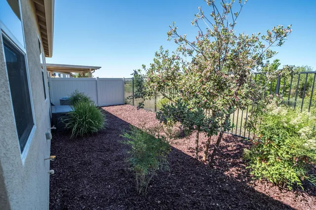 a view of a pathway with a tree