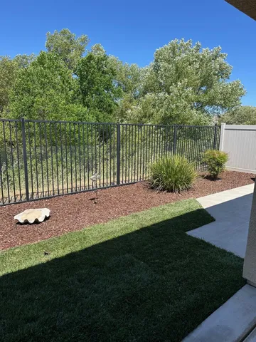 a view of a garden with plants