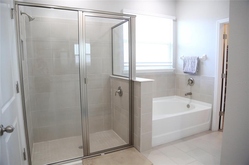 1160 Bering Road Wesley Chapel, FL 33543 - Photo 16 of 35