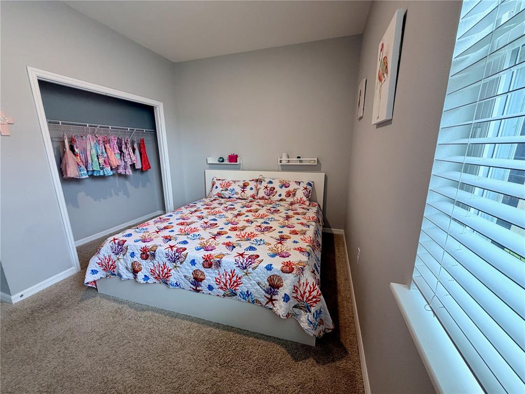 1160 Bering Road Wesley Chapel, FL 33543 - Photo 18 of 35