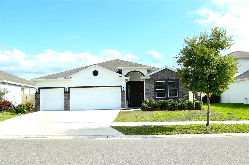 1160 Bering Road Wesley Chapel, FL 33543 - Photo 28 of 35