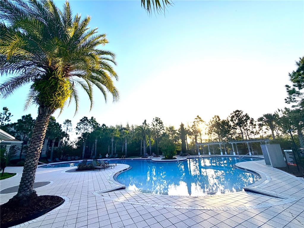 1160 Bering Road Wesley Chapel, FL 33543 - Photo 32 of 35