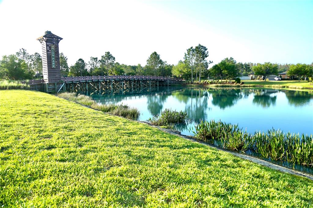 1160 Bering Road Wesley Chapel, FL 33543 - Photo 35 of 35