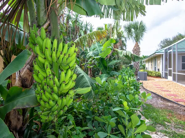 $12,000 | 956 Treasure Lane, Vero Beach, FL 32963