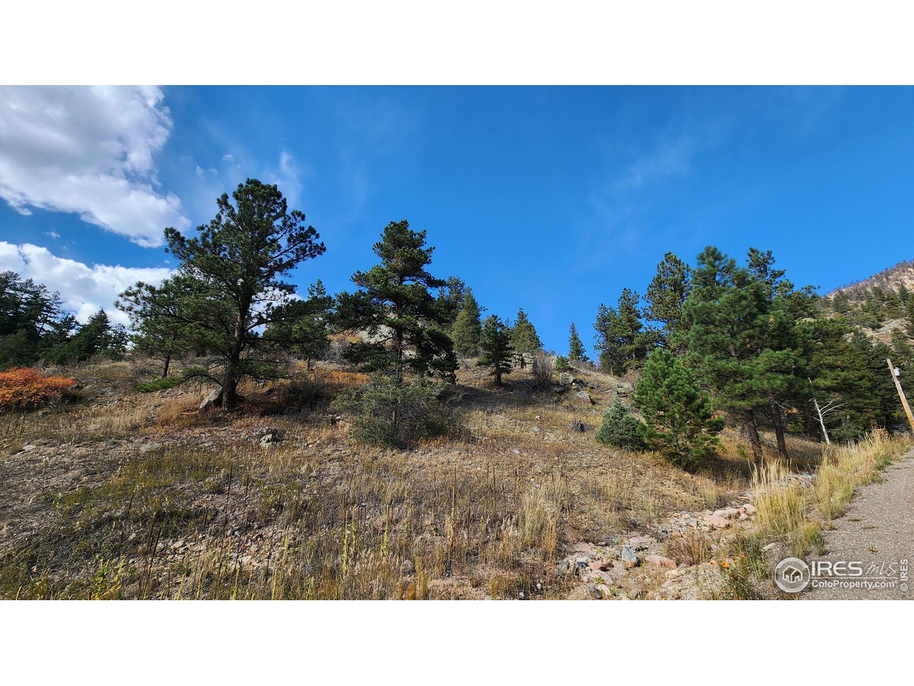 84 Copper Hill Road Drake, CO 80515 - Photo 26 of 28
