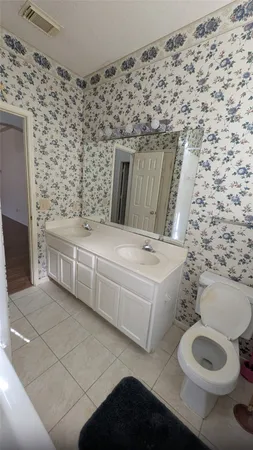 a bathroom with a sink and a toilet