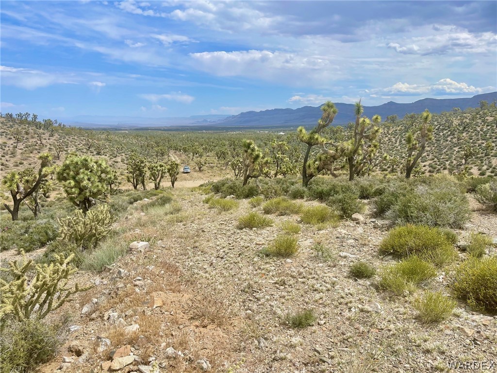 336-05-033 Smith Road Meadview, AZ 86444 - Photo 6 of 36 a view of a yard with an ocean and trees