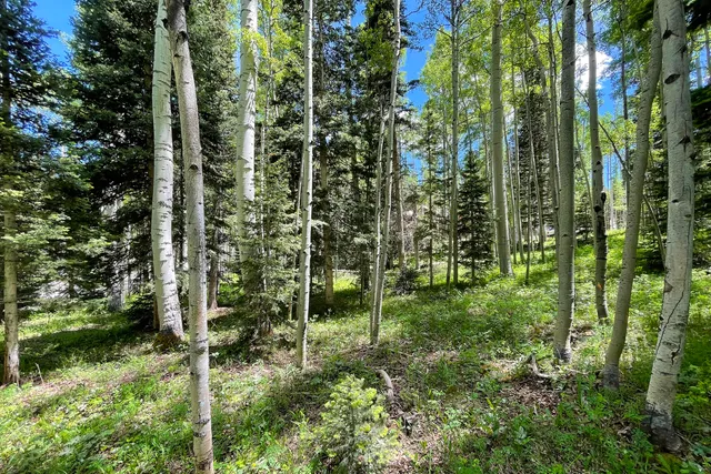 $899,000 | 41 Saddle Horn Lane, Telluride, CO 81435