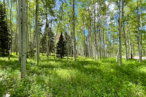 $899,000 | 41 Saddle Horn Lane, Telluride, CO 81435