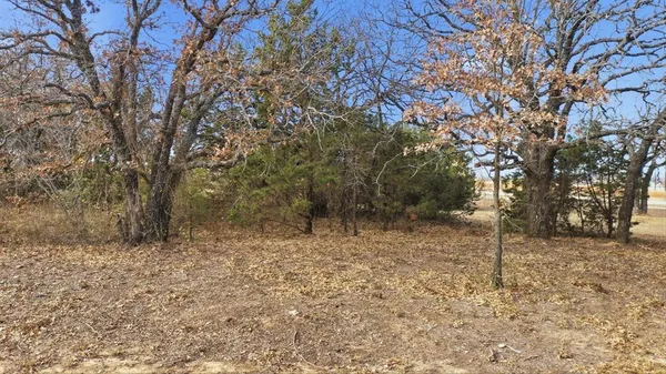 $95,000 | Tbd Dps Tower Road, Perrin, TX 76486