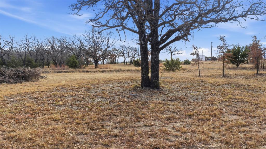 Tbd Dps Tower Road Perrin, TX 76486 - Photo 13 of 14