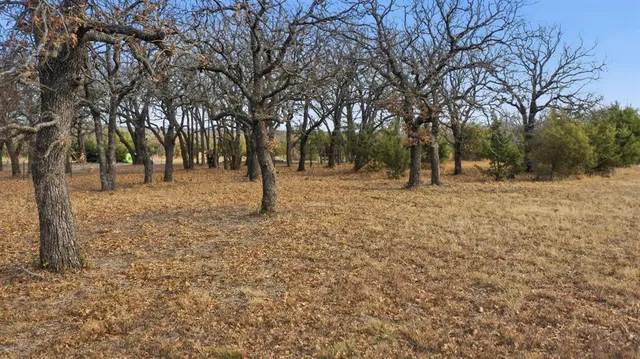 $99,000 | Tbd Dps Tower Road, Perrin, TX 76486