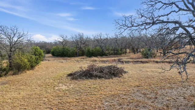 $99,000 | Tbd Dps Tower Road, Perrin, TX 76486
