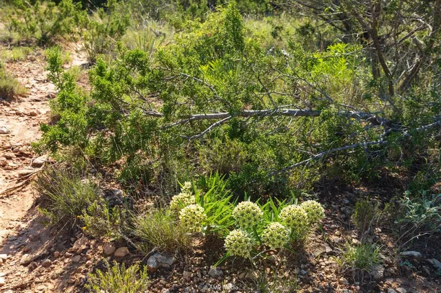 $1,138,350 | 2035 St Sweetwater Tx 79556, Sweetwater, TX 79556