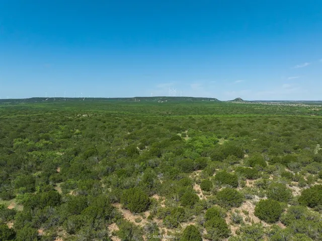 $1,138,350 | 2035 St Sweetwater Tx 79556, Sweetwater, TX 79556