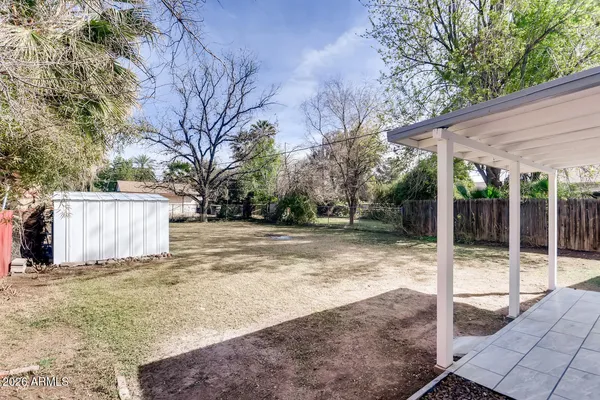 a view of a backyard with large tree
