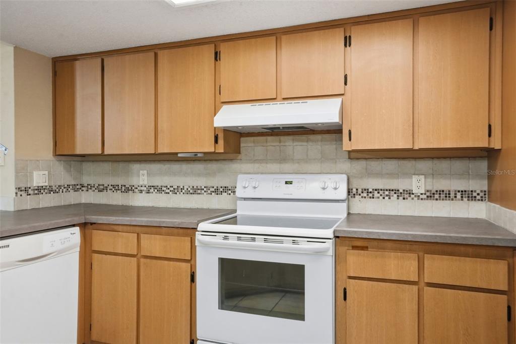 136 Waterfall Drive Spring Hill, FL 34608 - Photo 14 of 50