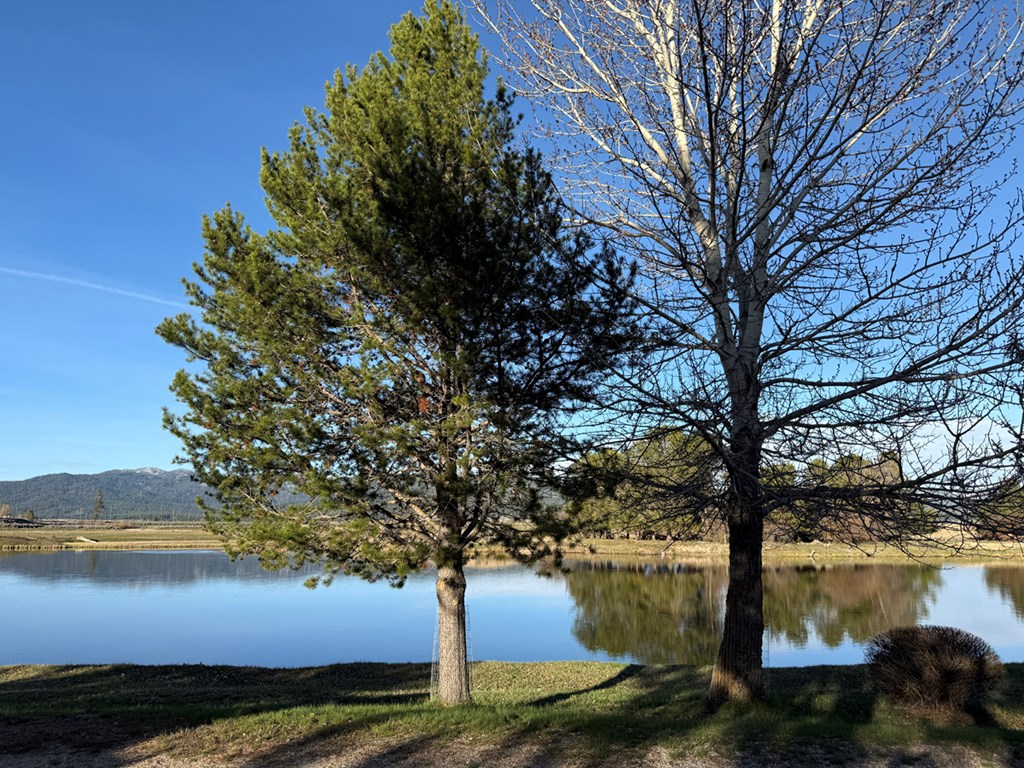 15 P Street, Unit 9 Cascade, ID 83611 - Photo 10 of 24 View