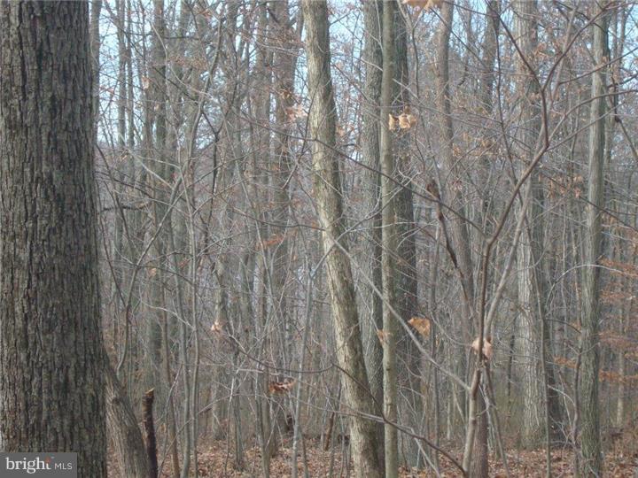 Lot 18 Stover Mill Road Perkasie, PA 18944 - Photo 11 of 15
