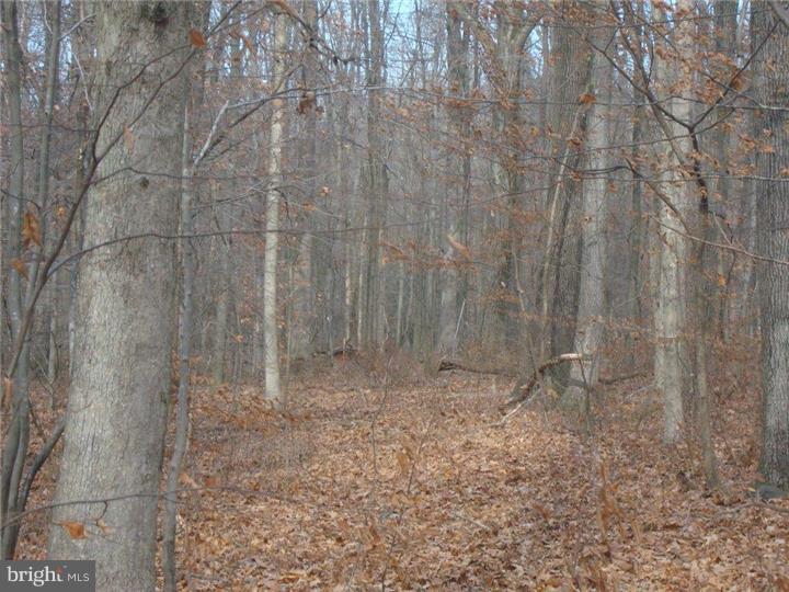 Lot 18 Stover Mill Road Perkasie, PA 18944 - Photo 12 of 15