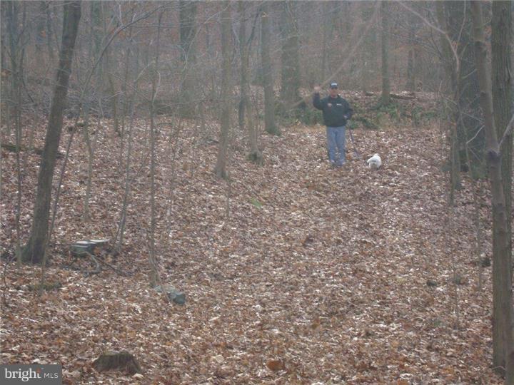 Lot 18 Stover Mill Road Perkasie, PA 18944 - Photo 13 of 15