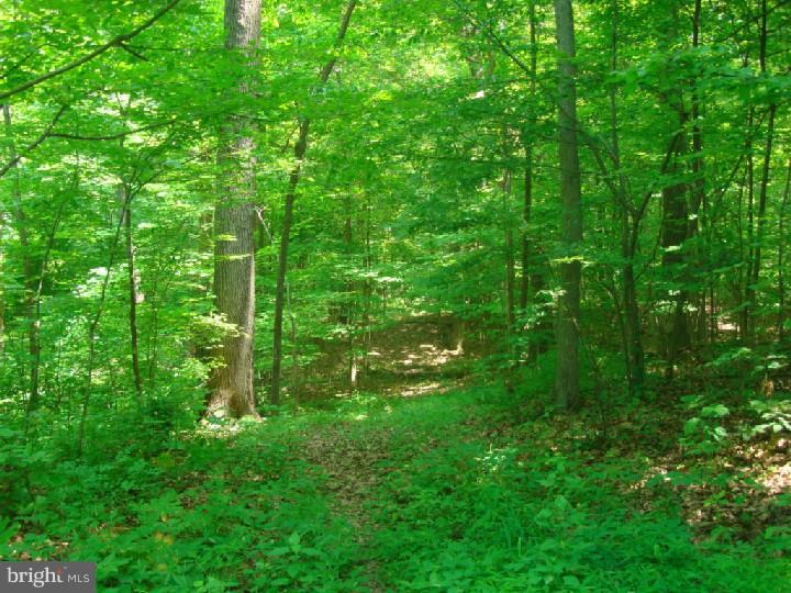 Lot 18 Stover Mill Road Perkasie, PA 18944 - Photo 4 of 15